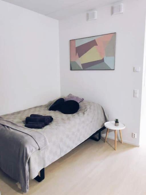 Apartment New Mint Near Airport